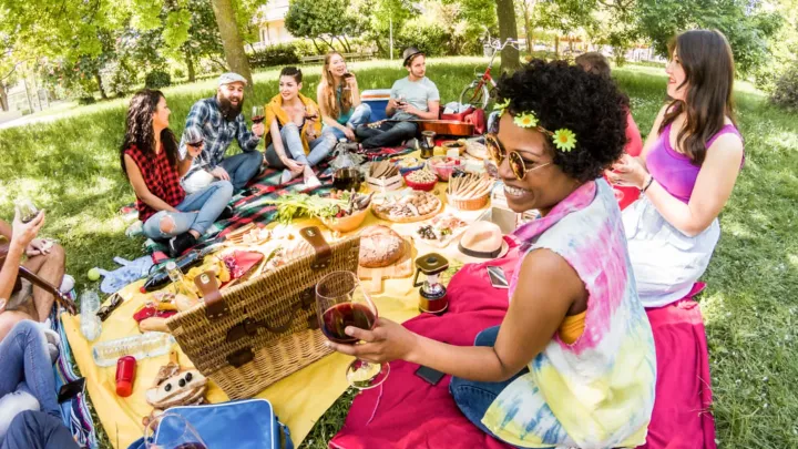Picnics